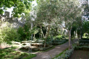 Castle Gardens Tavira